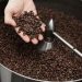 Coffee Roasting